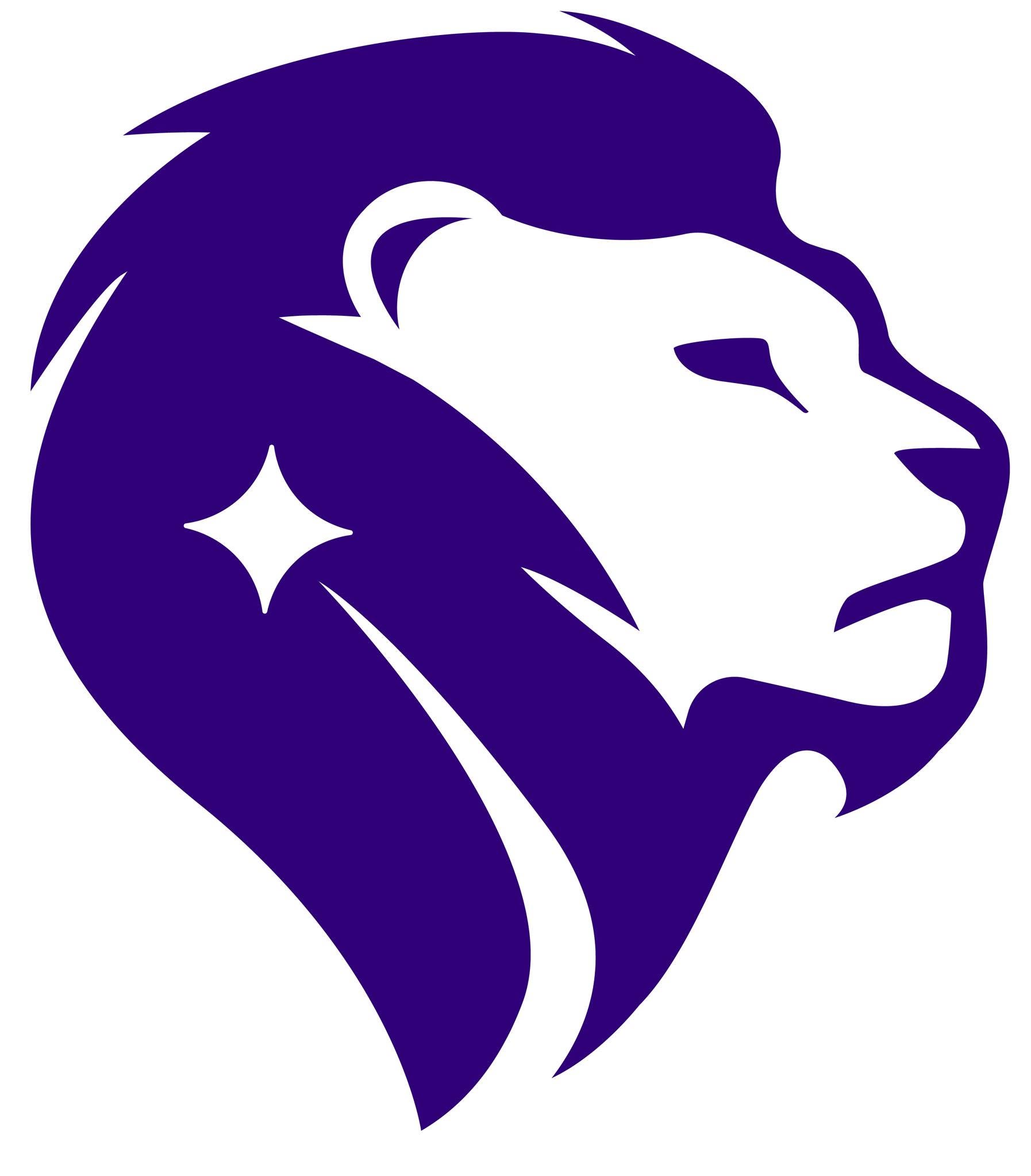 Logotyp firmy Stelleo